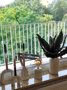 Easy Rent Apartments - 36