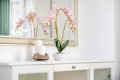 Easy Rent Apartments  - 30
