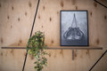 Easy Rent Apartments  - 25